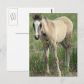 Generationen Postkarte (Vorne/Hinten)