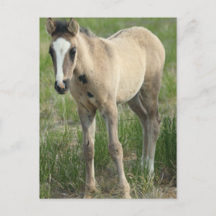 Generationen Postkarte