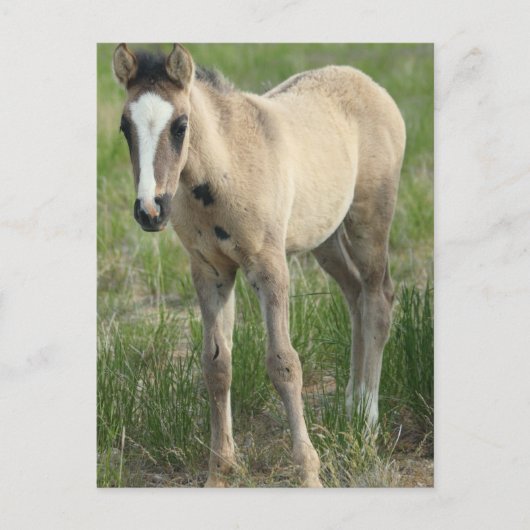 Generationen Postkarte (Vorderseite)