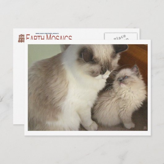 Generationen Postkarte (Vorne/Hinten)