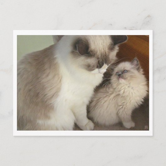 Generationen Postkarte (Vorderseite)