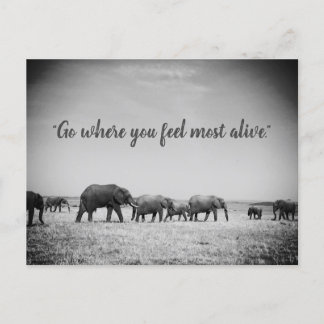 Generationen von Elefanten Grußkarte Postkarte