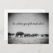 Generationen von Elefanten Grußkarte Postkarte (Vorne/Hinten)