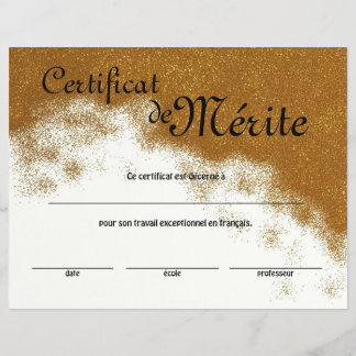 Generisches Exzellenzzertifikat der französischen Flyer