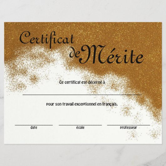 Generisches Exzellenzzertifikat der französischen Flyer (Vorne)