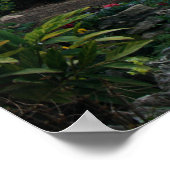 Genese 2:15 poster (Ecke)