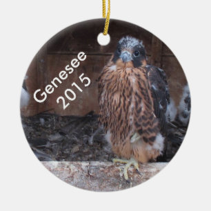 Genesee Verzierung 2015 Keramik Ornament