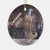 Genesee Verzierung 2015 Keramik Ornament (Links)