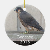 Genesee Verzierung 2015 Keramik Ornament (Hinten)