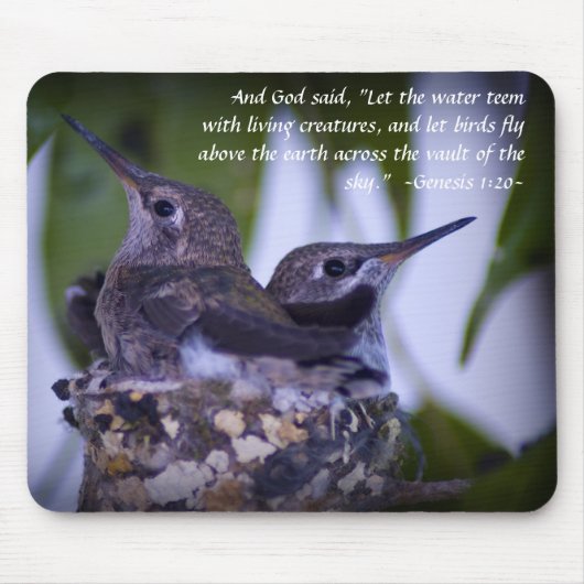 Genesis 1:20 Juvenile Hummingbirds Mousepad (Vorne)