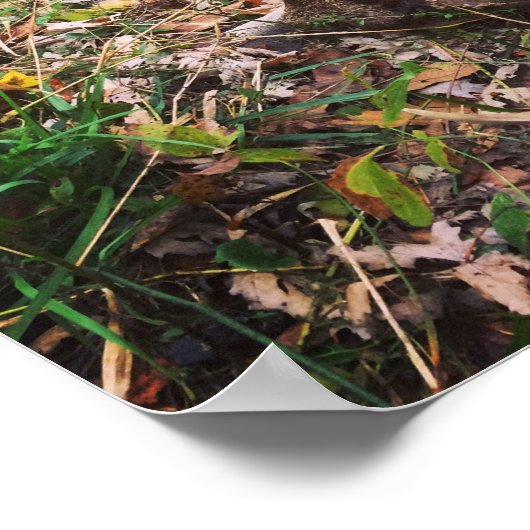 Genesis 27:3 mit Harvested Buck Poster (Ecke)