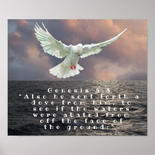 GENESIS 8:8 POSTER (Vorne)