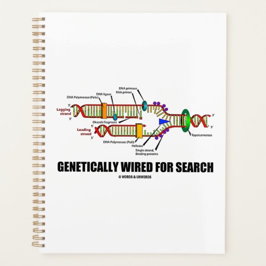 Genetisch mit dem Spaß zur DNA-Replikation suchen Planer (Vorderseite)