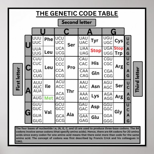 Genetische Codetabelle Poster (Vorne)