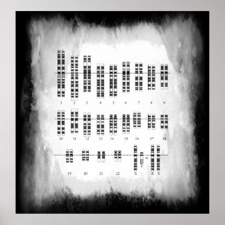 GENETISCHE VARIATION DES MENSCHEN - KARYOTYP POSTER