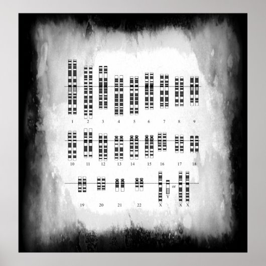 GENETISCHE VARIATION DES MENSCHEN - KARYOTYP POSTER (Vorne)