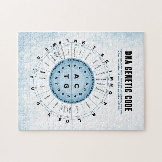 Genetische Verschlüsselungstabelle DNS Puzzle (Horizontal)