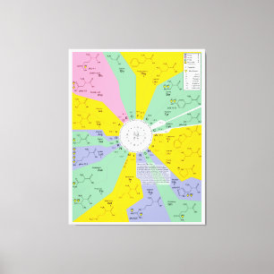 Genetischer Code-Diagramm, das Leinwanddruck