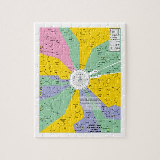 Genetischer Code für Aminosäuren (Diagramm-Rad) Puzzle (Vertikal)