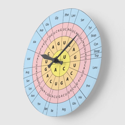 Genetischer Code Große Wanduhr (Winkel)