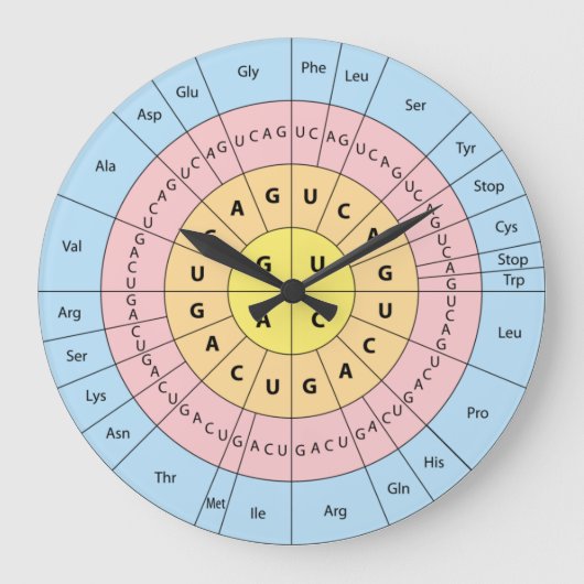 Genetischer Code Große Wanduhr (Vorderseite)