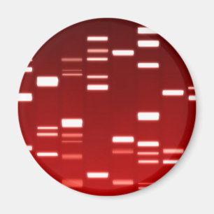 Genetischer Code-Rot DNS Magnet