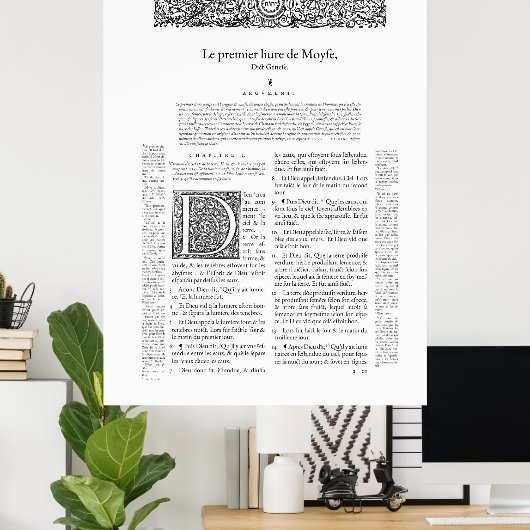 Genève 1564 poster (Heimbüro)