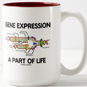 Genexpression als Teil des Lebens (DNA-Replikation Zweifarbige Tasse