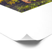 Genf, Schweiz Fotodruck (Ecke)