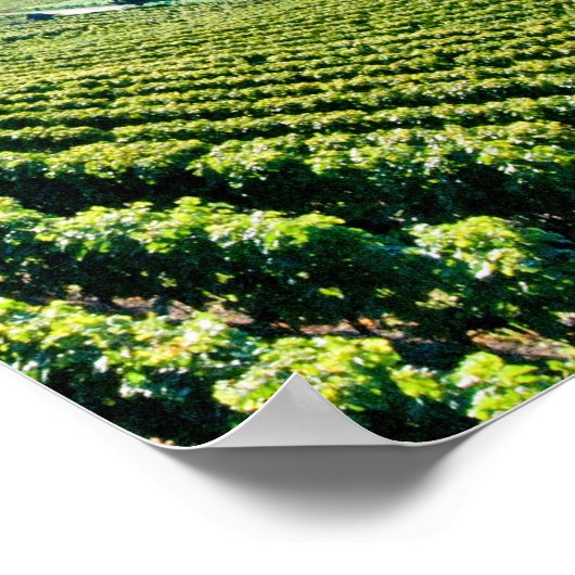 Genfer See (Lac Léman) 017 Poster (Ecke)