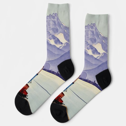 Genfer See Reise Socken (Linkes Detail)