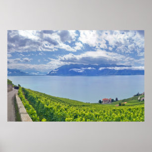 Genfersee (Gummilack Léman) 009 Poster