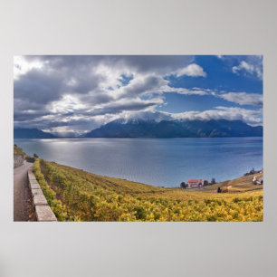 Genfersee (Gummilack Léman) 011 Poster