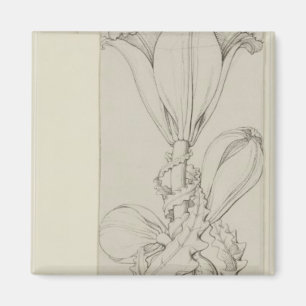 Genie der Lilie, 1809 Magnet