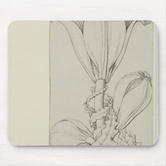 Genie der Lilie, 1809 Mousepad (Vorne)