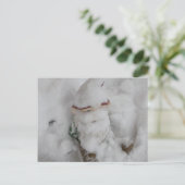 Genießen Sie den Schnee. Postkarte (Stehend Vorderseite)