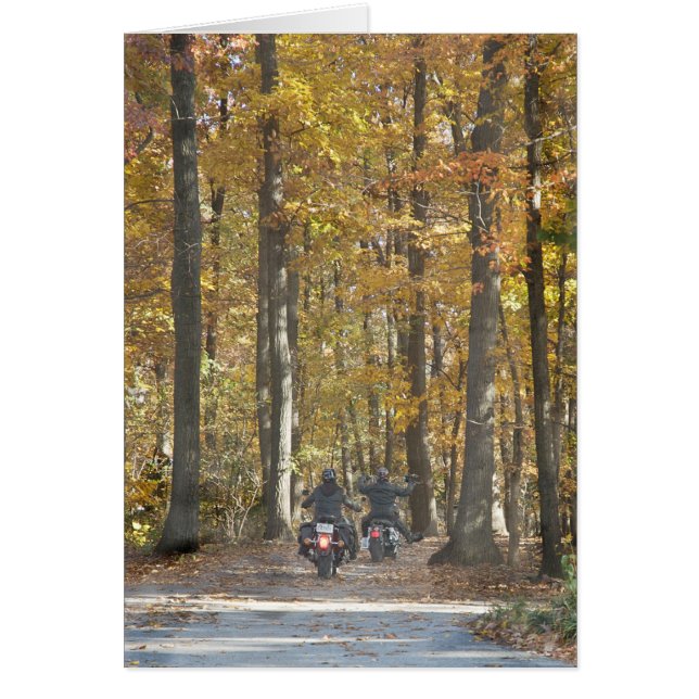 Genießen Sie die Fahrt! (Vorne)