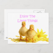 Genießen Sie die Kleinen, die Entenlings Postkarte (Vorne/Hinten)
