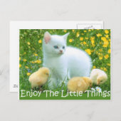 Genießen Sie die Kleinen Dinge Niedliche Tiere Postkarte (Vorne/Hinten)