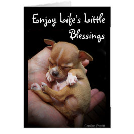 Genießen Sie die kleinen Segnungen des Lebens