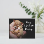 Genießen Sie die kleinen Segnungen des Lebens Postkarte (Stehend Vorderseite)