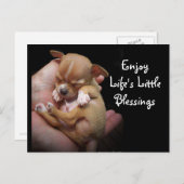 Genießen Sie die kleinen Segnungen des Lebens Postkarte (Vorne/Hinten)
