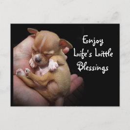 Genießen Sie die kleinen Segnungen des Lebens Postkarte