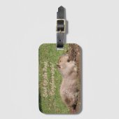 Genießen Sie die Rays im Capybara-Stil! Gepäckanhänger (Vorderseite Vertikal)