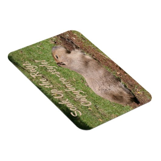 Genießen Sie die Rays im Capybara-Stil! Magnet (Rechte Seite)