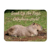Genießen Sie die Rays im Capybara-Stil! Magnet (Horizontal)
