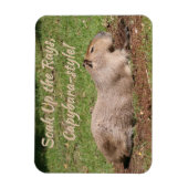 Genießen Sie die Rays im Capybara-Stil! Magnet (Vertikal)