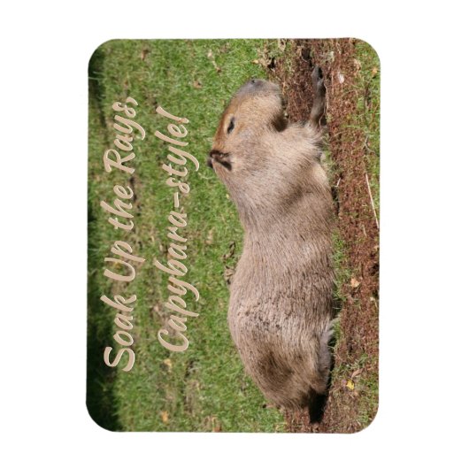 Genießen Sie die Rays im Capybara-Stil! Magnet (Vertikal)