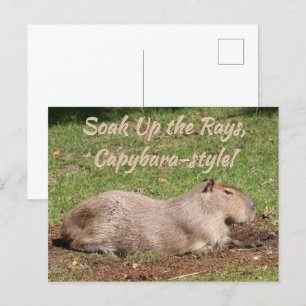 Genießen Sie die Rays im Capybara-Stil! Postkarte