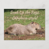 Genießen Sie die Rays im Capybara-Stil! Postkarte (Vorderseite)